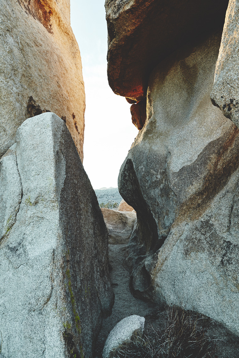 150116 Joshua Tree 1 0075